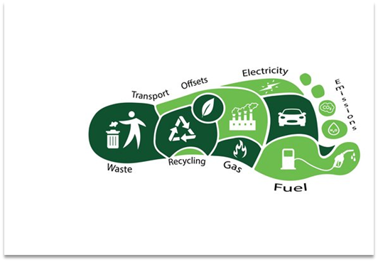 Sustainaiblity in ecommerce- reducing carbon footprint Sustainaiblity in ecommerce- reducing carbon footprint